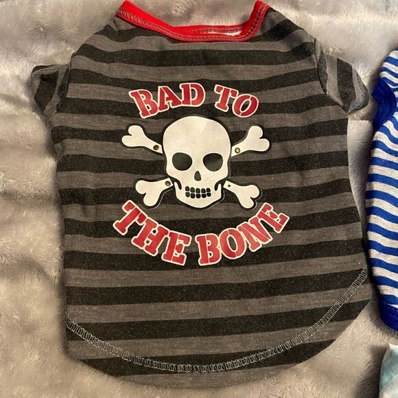 XS Doggie Boy Shirts - Picture 2 of 8